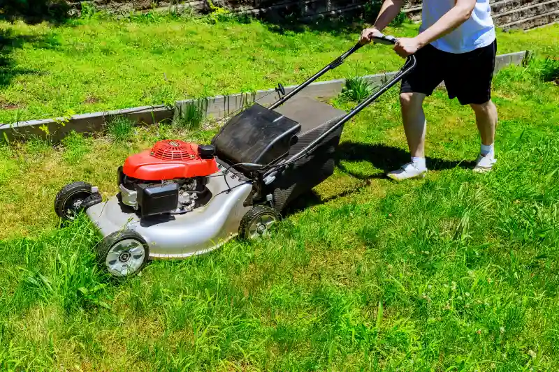 Lawn Care Services