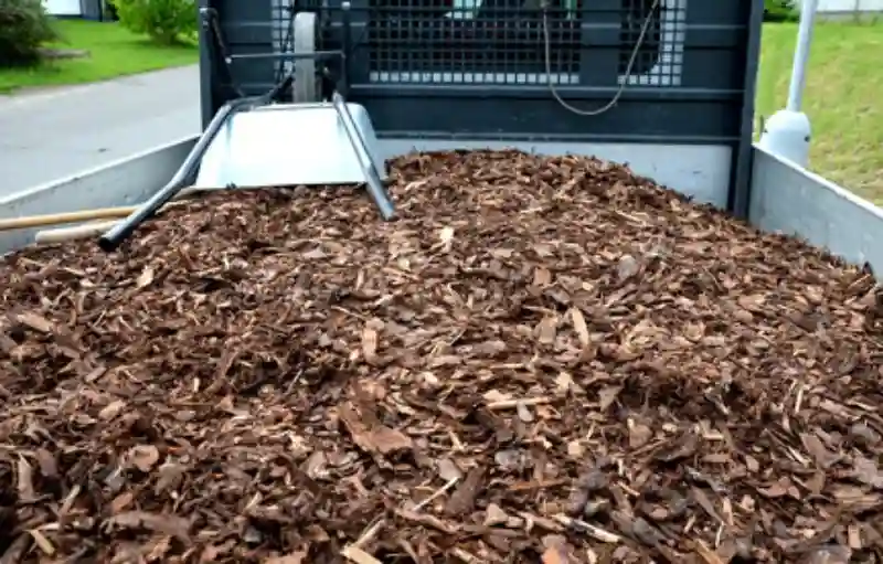 Professional Mulching Service in Renton, WA 