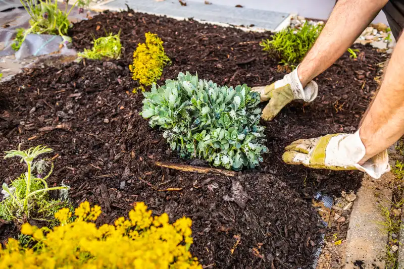 Mulching Services