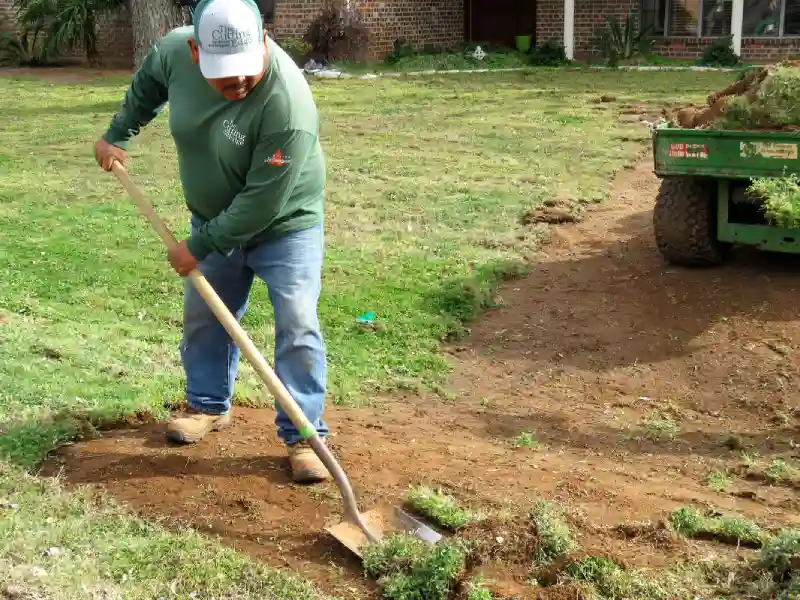 Outstanding Sod Installation Service in Renton, WA 