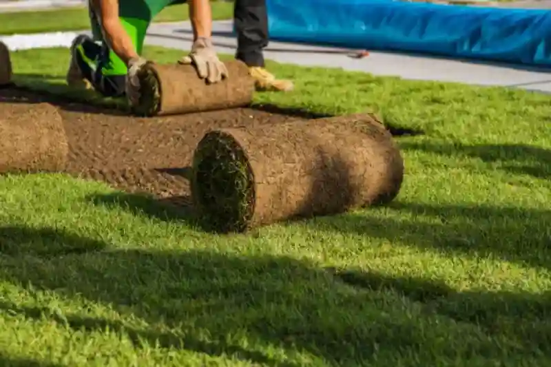 Reliable Sod Installation Service in Renton, WA 