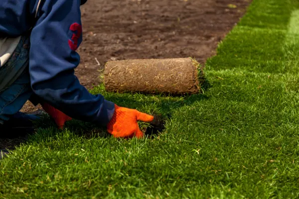 Sod Installation Services