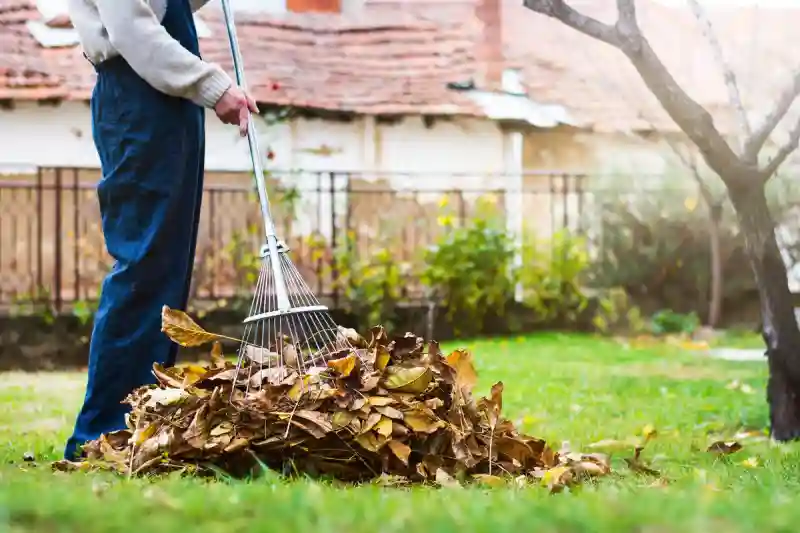 Reliable Yard cleanup Service in Renton, WA 